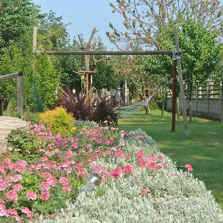 Zdravec Krapets (Dobrich)