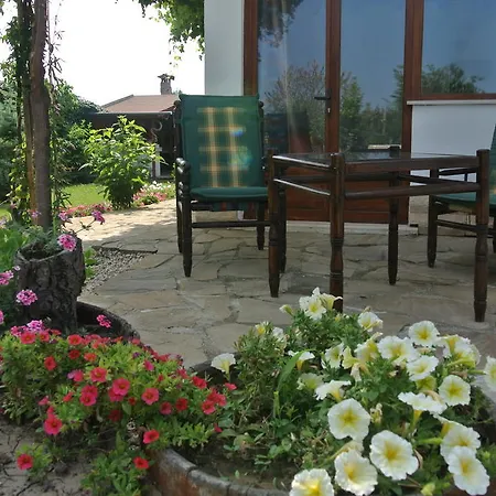 Zdravec Krapets (Dobrich)