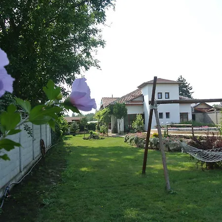 Zdravec