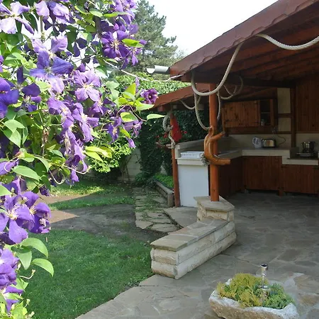Zdravec